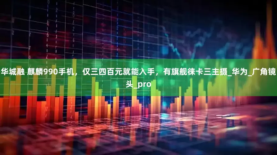 华城融 麒麟990手机，仅三四百元就能入手，有旗舰徕卡三主摄_华为_广角镜头_pro