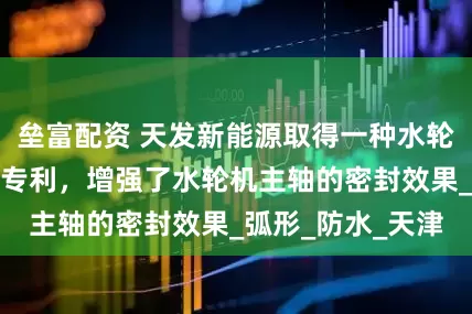 垒富配资 天发新能源取得一种水轮机主轴密封装置专利，增强了水轮机主轴的密封效果_弧形_防水_天津