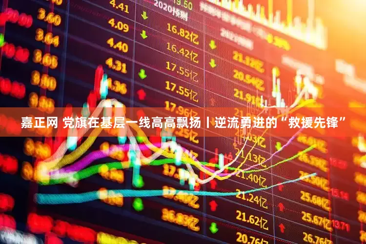 嘉正网 党旗在基层一线高高飘扬丨逆流勇进的“救援先锋”